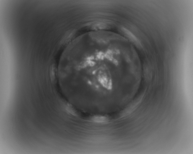 X0000114590169200910191604