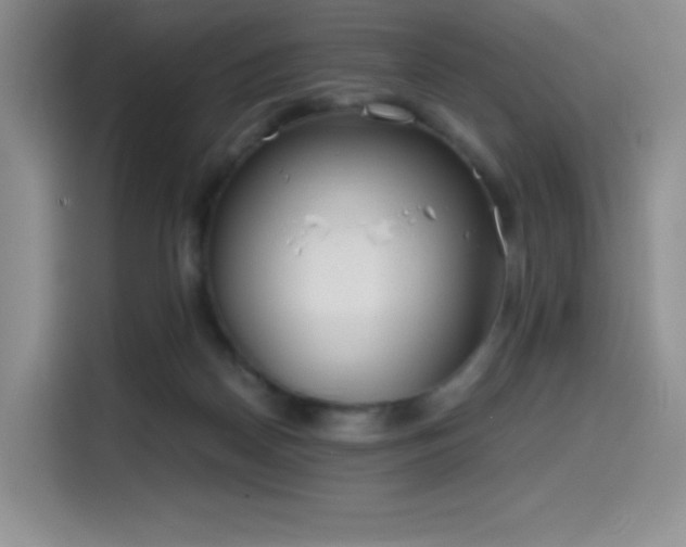 X0000114590170200910191604