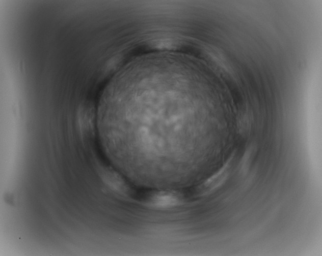 X0000114590175200910191605