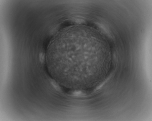 X0000114590177200910191605