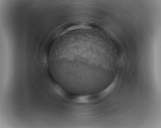 X0000114590178200910191605