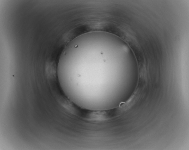 X0000114590179200910191605