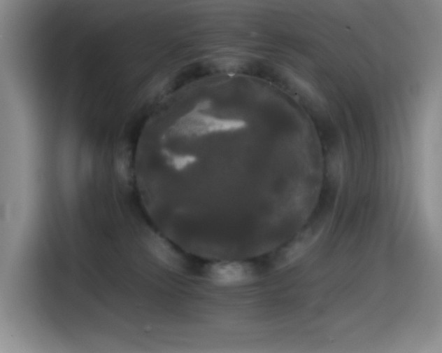 X0000114590181200910191605