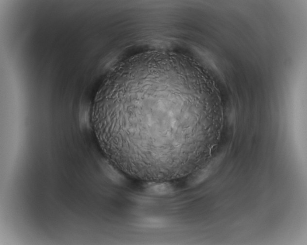 X0000114590185200910191605