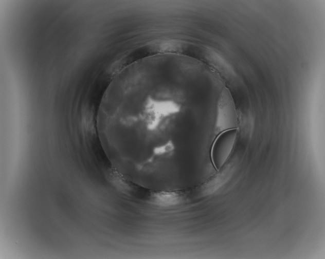 X0000114590189200910191605