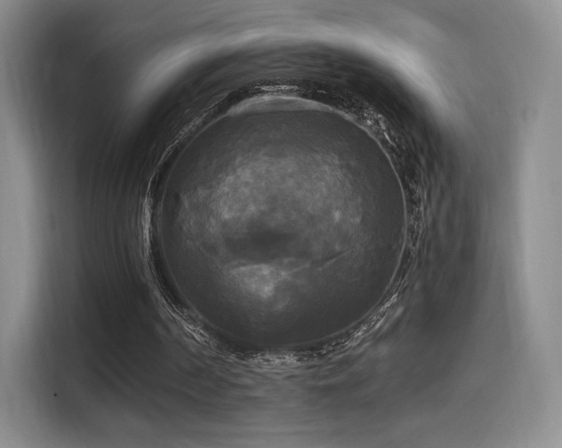 X0000114590194200910191604