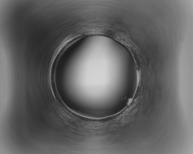 X0000114590195200910191604