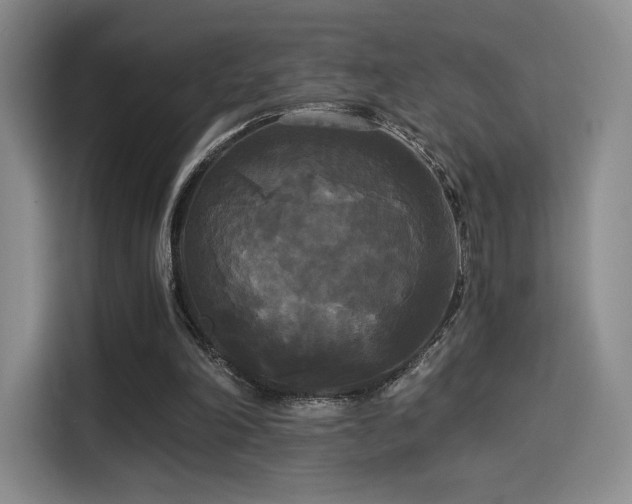 X0000114590198200910191604