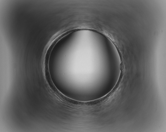 X0000114590199200910191604