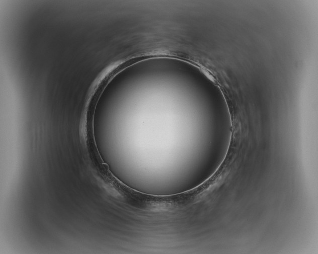 X0000114590200200910191604