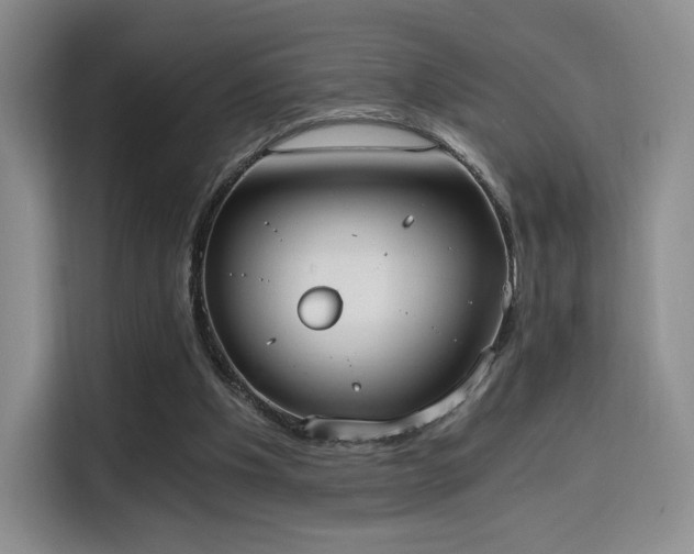 X0000114590201200910191604