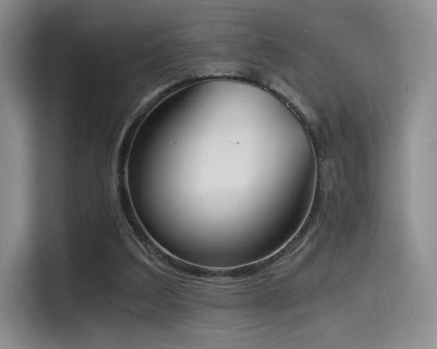 X0000114590203200910191604