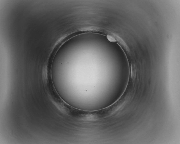 X0000114590204200910191604