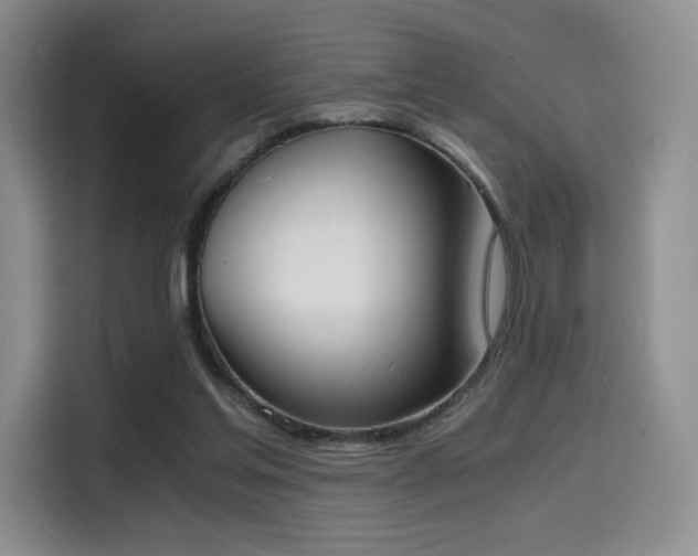 X0000114590205200910191604