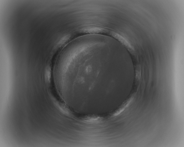 X0000114590206200910191604
