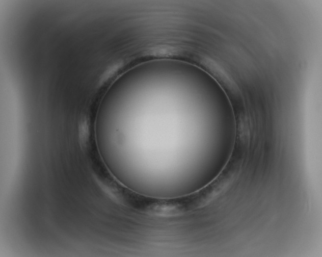X0000114590208200910191604