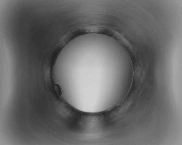 X0000114590209200910191604