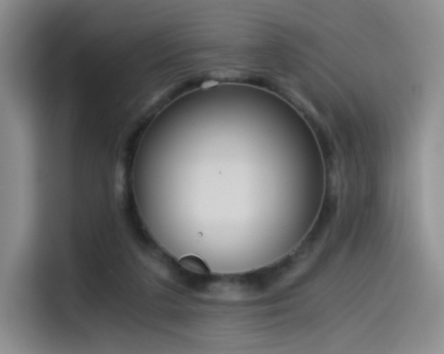 X0000114590211200910191604