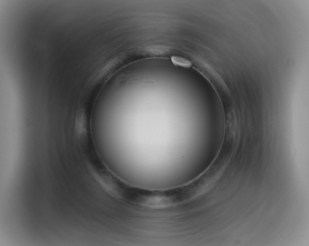 X0000114590212200910191604