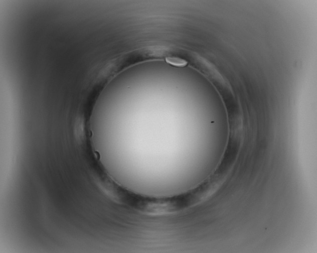 X0000114590213200910191604