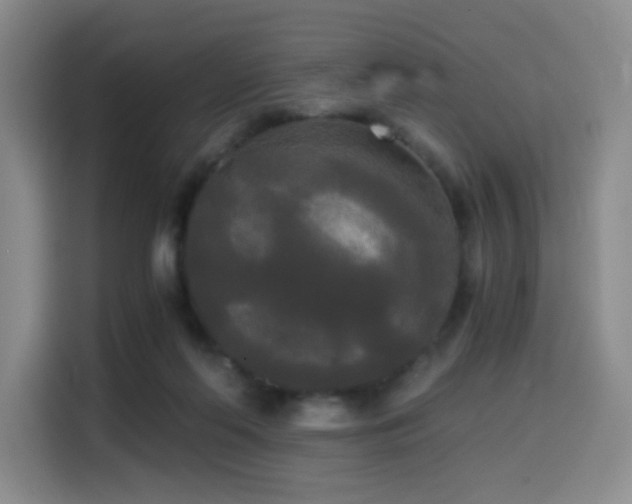X0000114590214200910191604