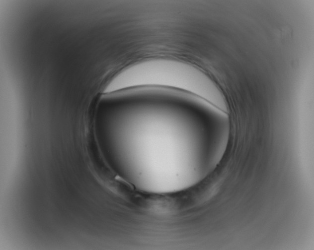 X0000114590215200910191604