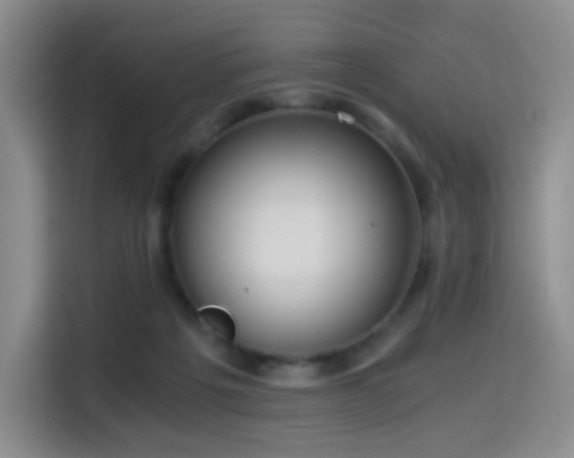 X0000114590217200910191604