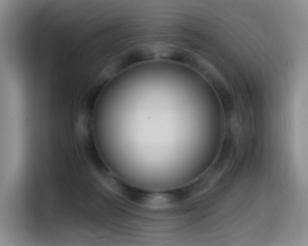 X0000114590218200910191604