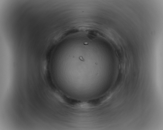 X0000114590219200910191604