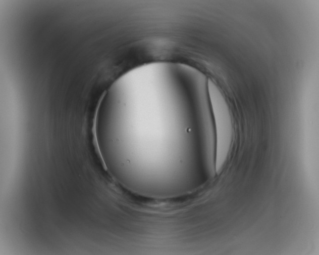 X0000114590221200910191604