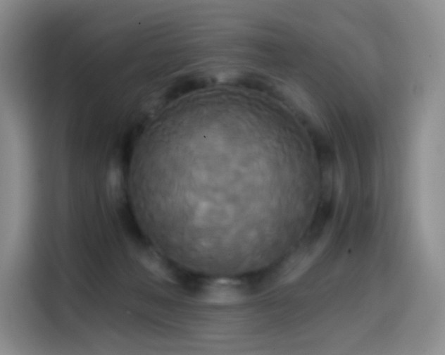 X0000114590222200910191604