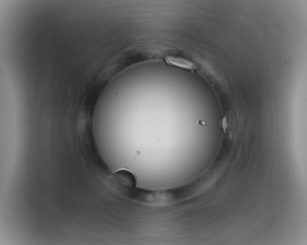 X0000114590225200910191604