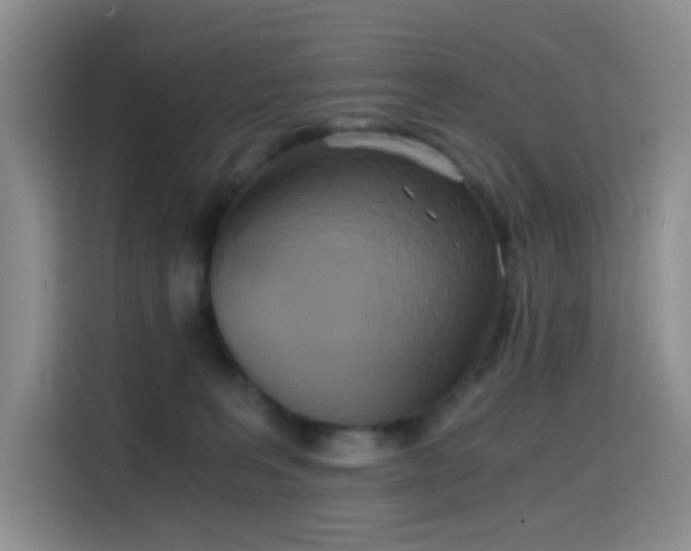X0000114590227200910191604