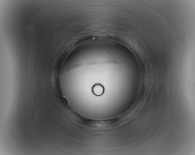 X0000114590229200910191604