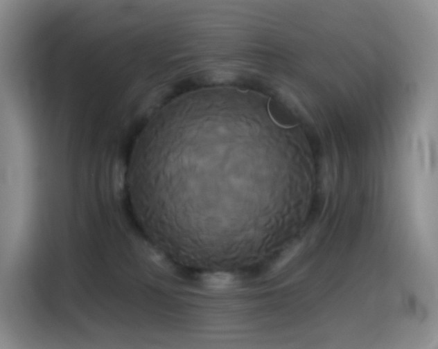 X0000114590230200910191604