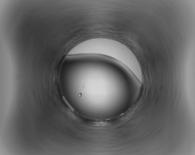 X0000114590233200910191604