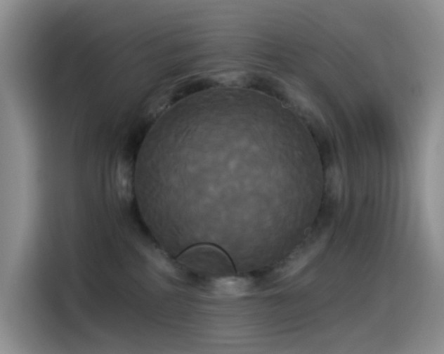 X0000114590234200910191604