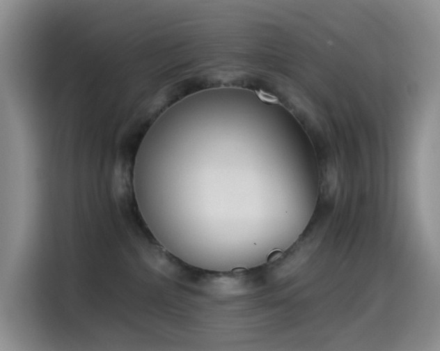 X0000114590236200910191604