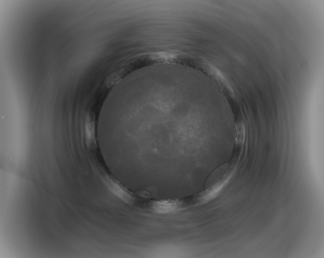 X0000114590238200910191603