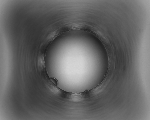 X0000114590240200910191603