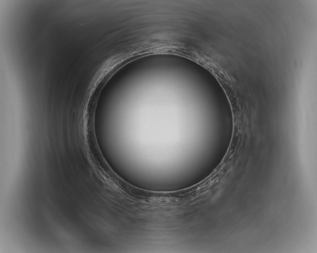 X0000114590242200910191603