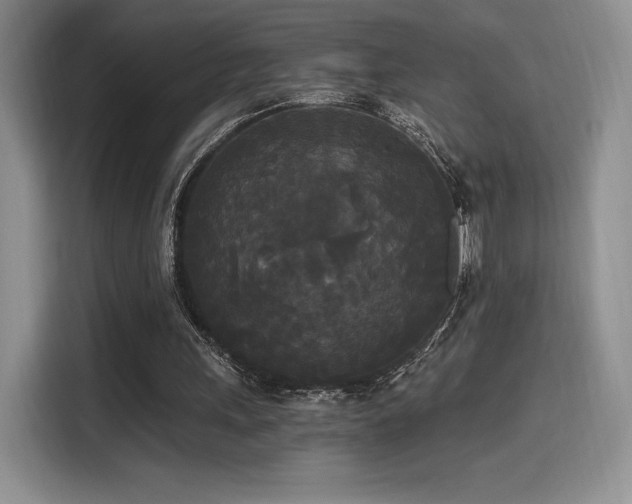 X0000114590243200910191603