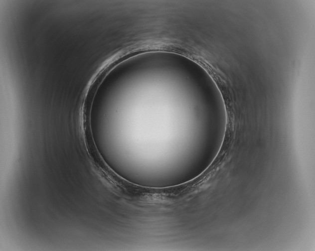 X0000114590244200910191603