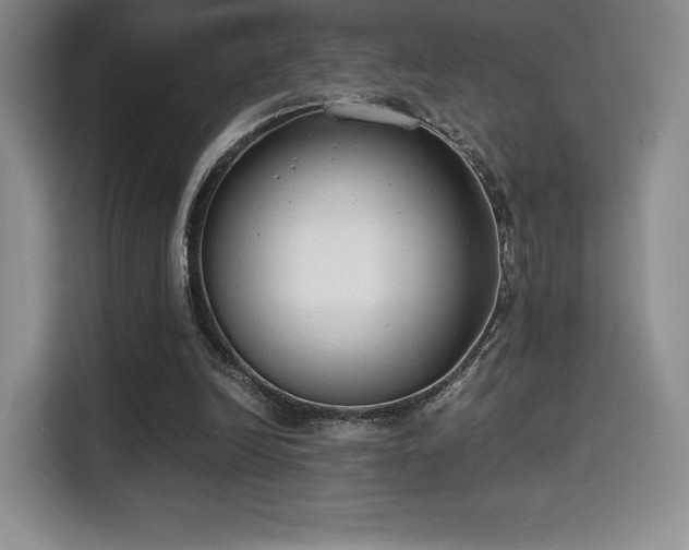 X0000114590246200910191603