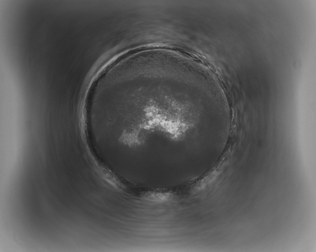 X0000114590247200910191603