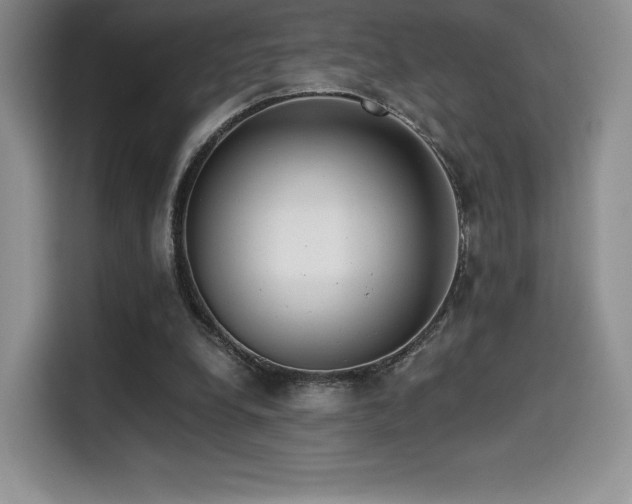 X0000114590248200910191603