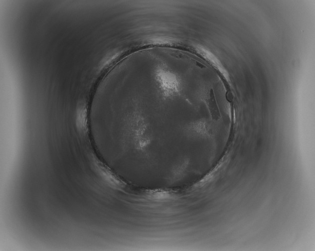 X0000114590249200910191603