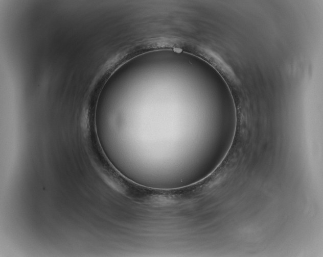 X0000114590250200910191603