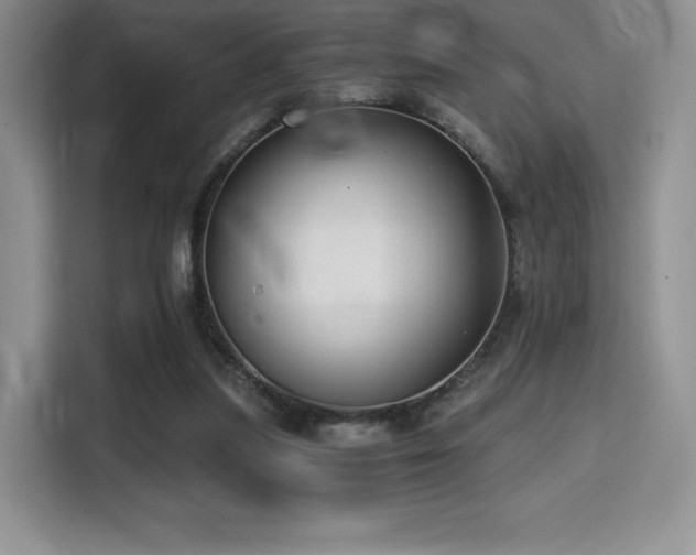 X0000114590251200910191603