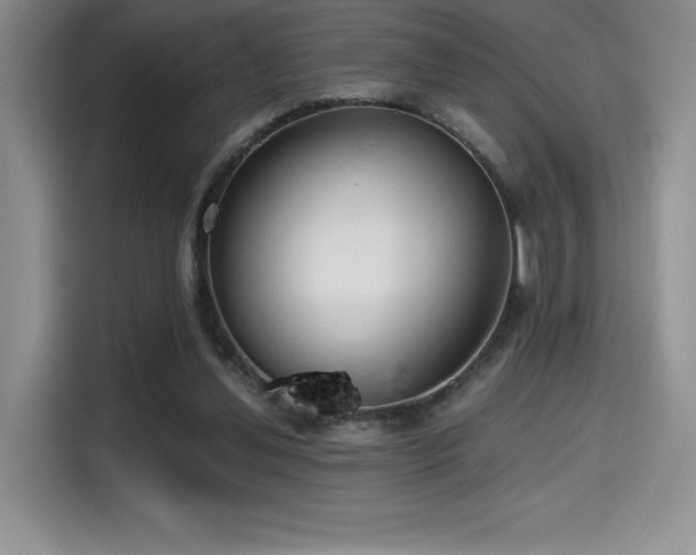 X0000114590252200910191603